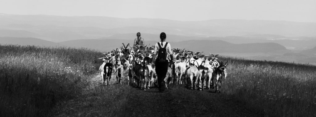 DIE RHÖN - Land der Offenen Fernen